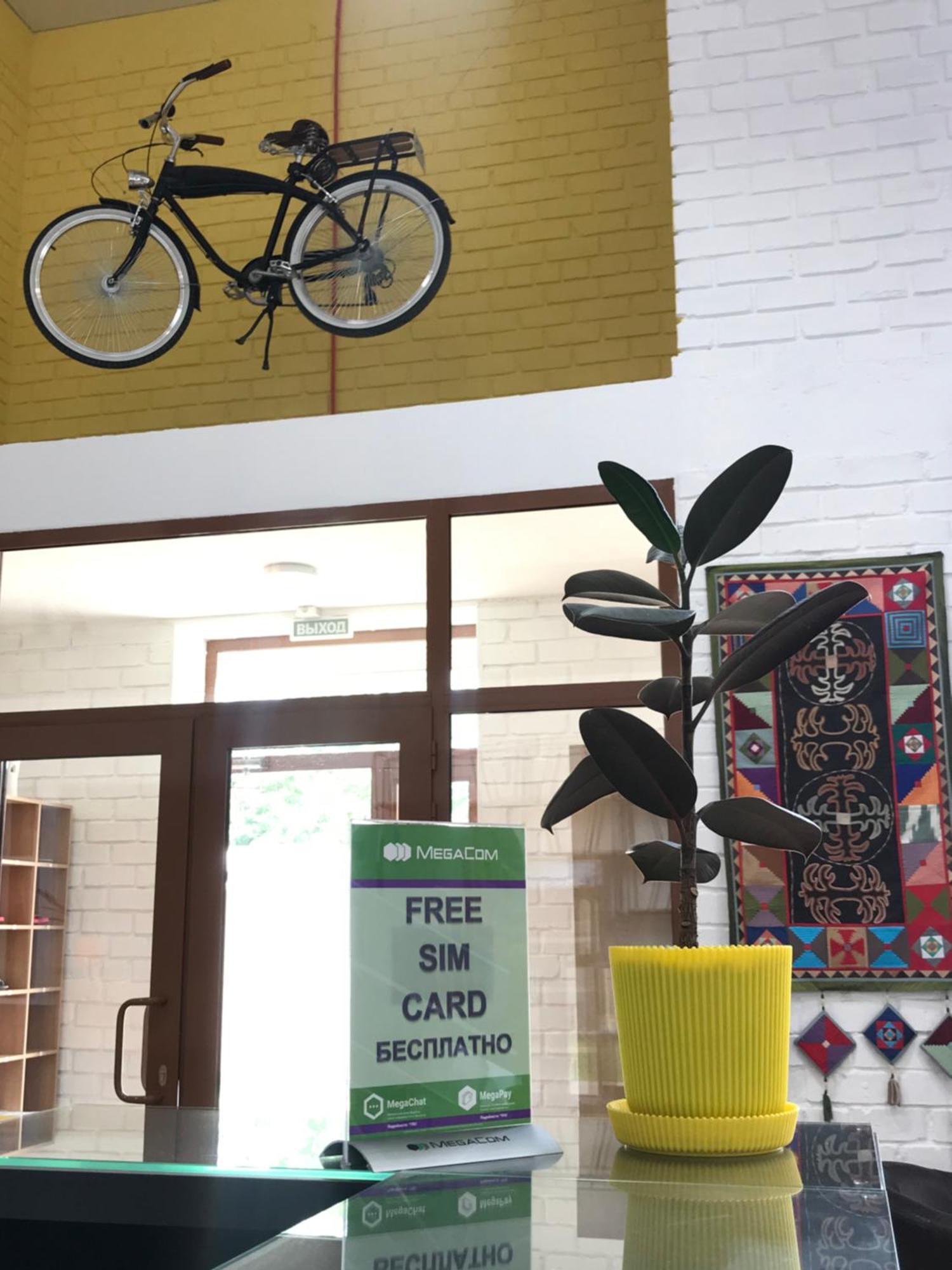 Ololofreelander Hostel&Coworking ビシュケク エクステリア 写真